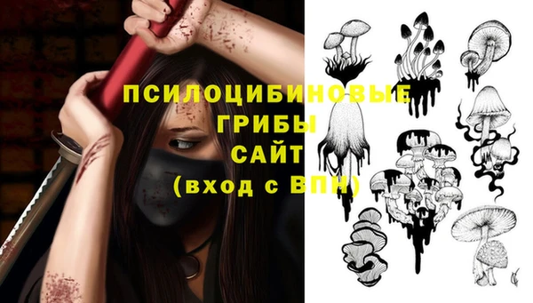 МДПВ Алексеевка