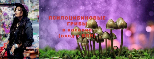 МДПВ Алексеевка