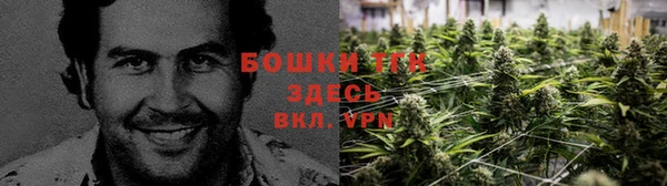 меф Алексин