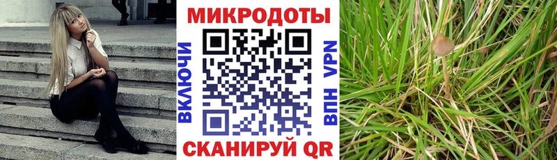 МЕГА вход  как найти закладки  Алушта  Галлюциногенные грибы Psilocybine cubensis 